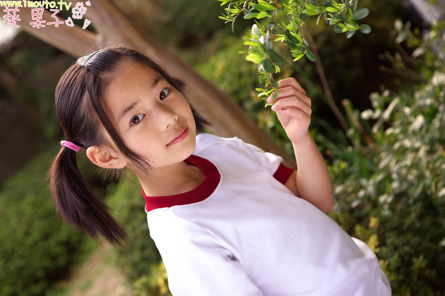 st1_tp2_aoi_k02_003.jpg