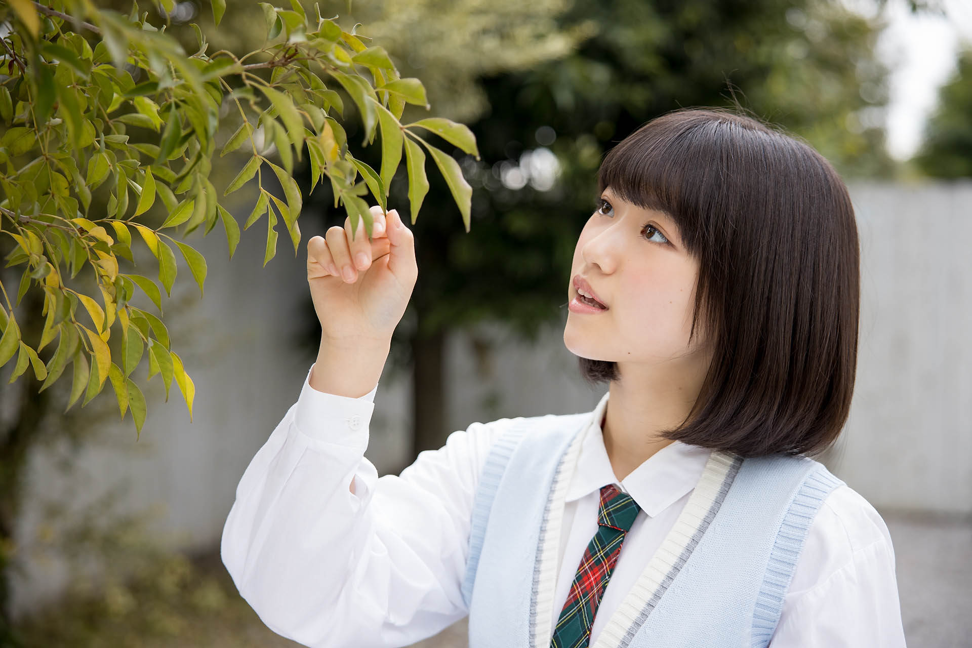 p_risa4_02_007.jpg
